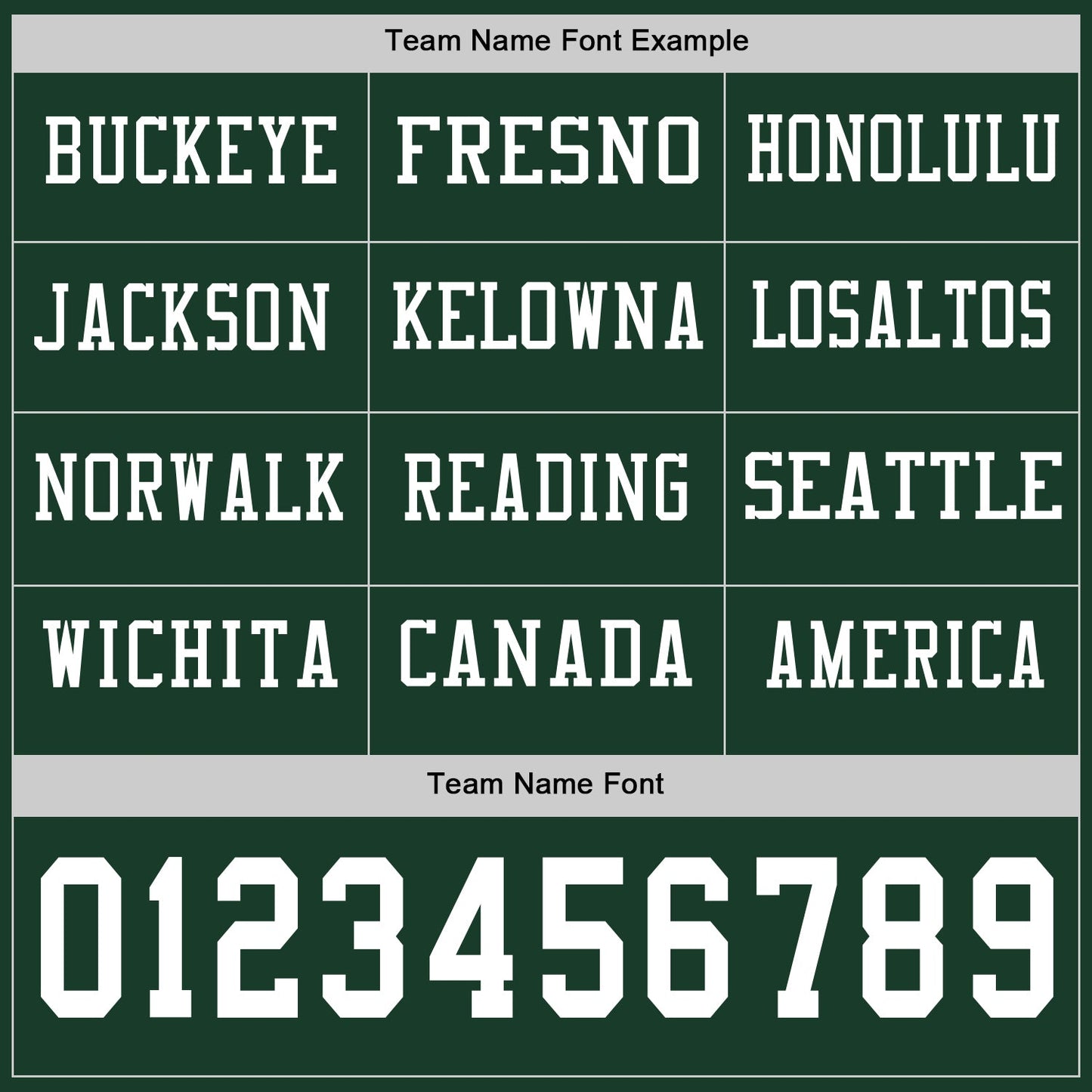 Custom Green White Long Sleeve Authentic Football Jersey view 3