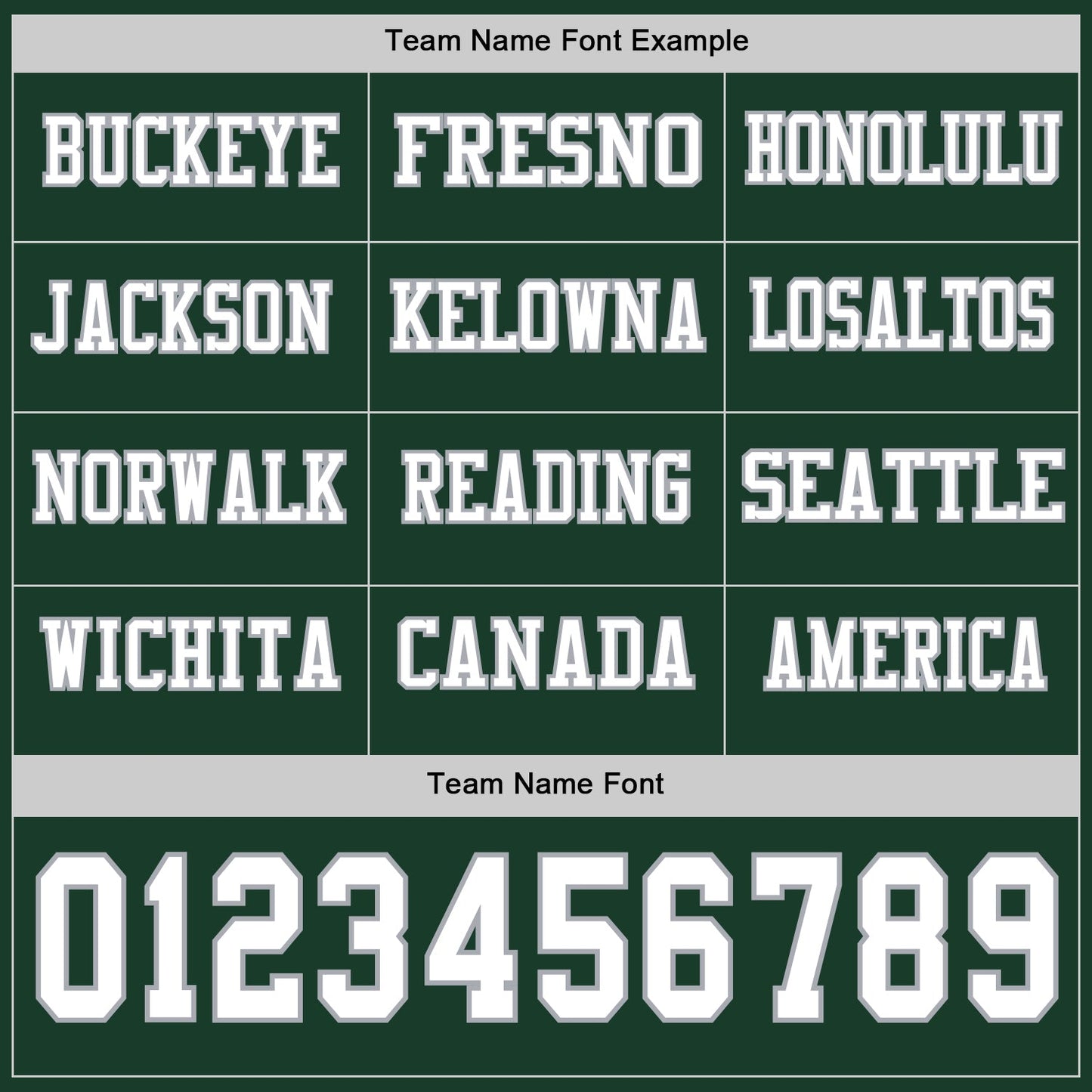 Custom Green White-Gray Long Sleeve Authentic Football Jersey view 3