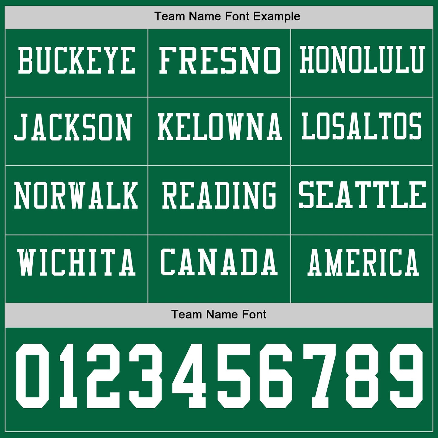 Custom Kelly Green White Long Sleeve Authentic Football Jersey view 3