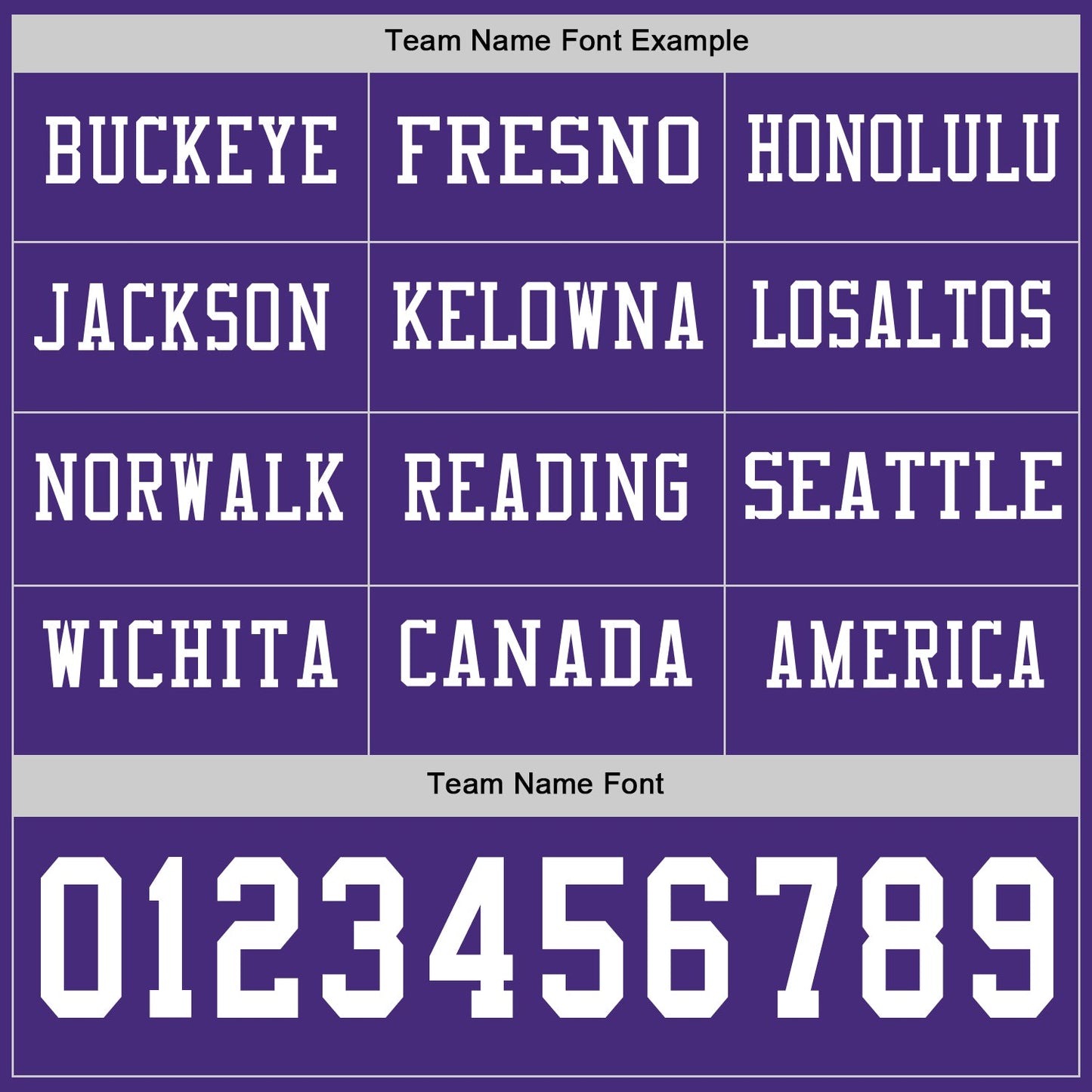 Custom Purple White Long Sleeve Authentic Football Jersey view 3