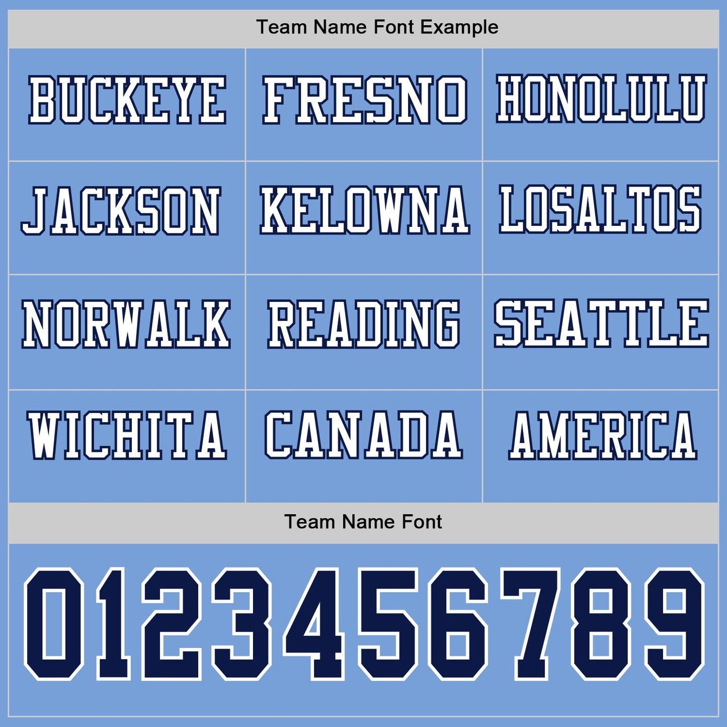 Custom Light Blue Navy-White Long Sleeve Authentic Football Jersey view 3