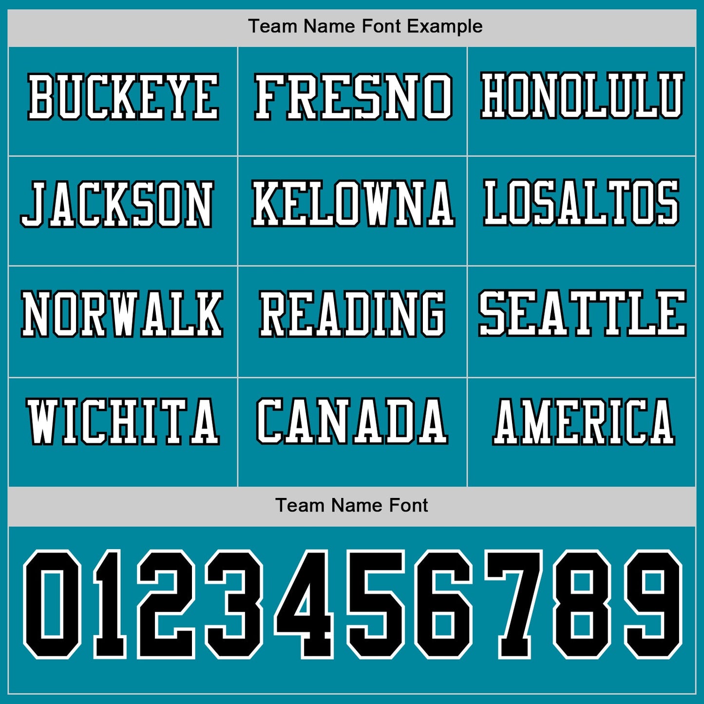Custom Teal Black-White Long Sleeve Authentic Football Jersey view 3
