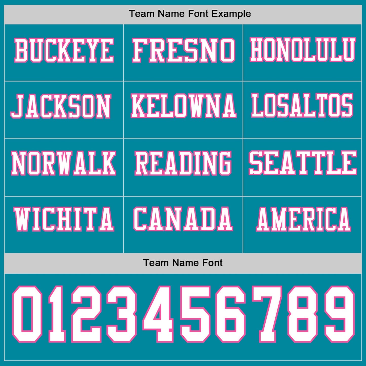 Custom Teal White-Pink Long Sleeve Authentic Football Jersey view 3