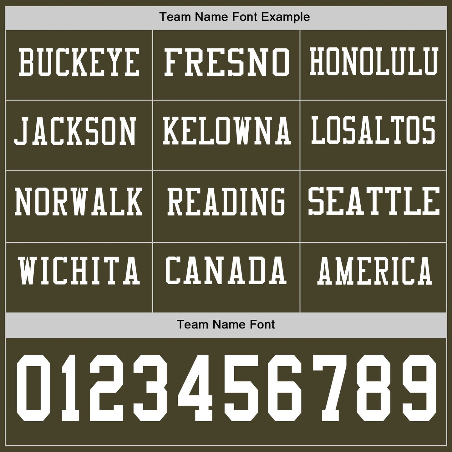 Custom Olive White Long Sleeve Salute To Service Authentic Football Jersey view 3