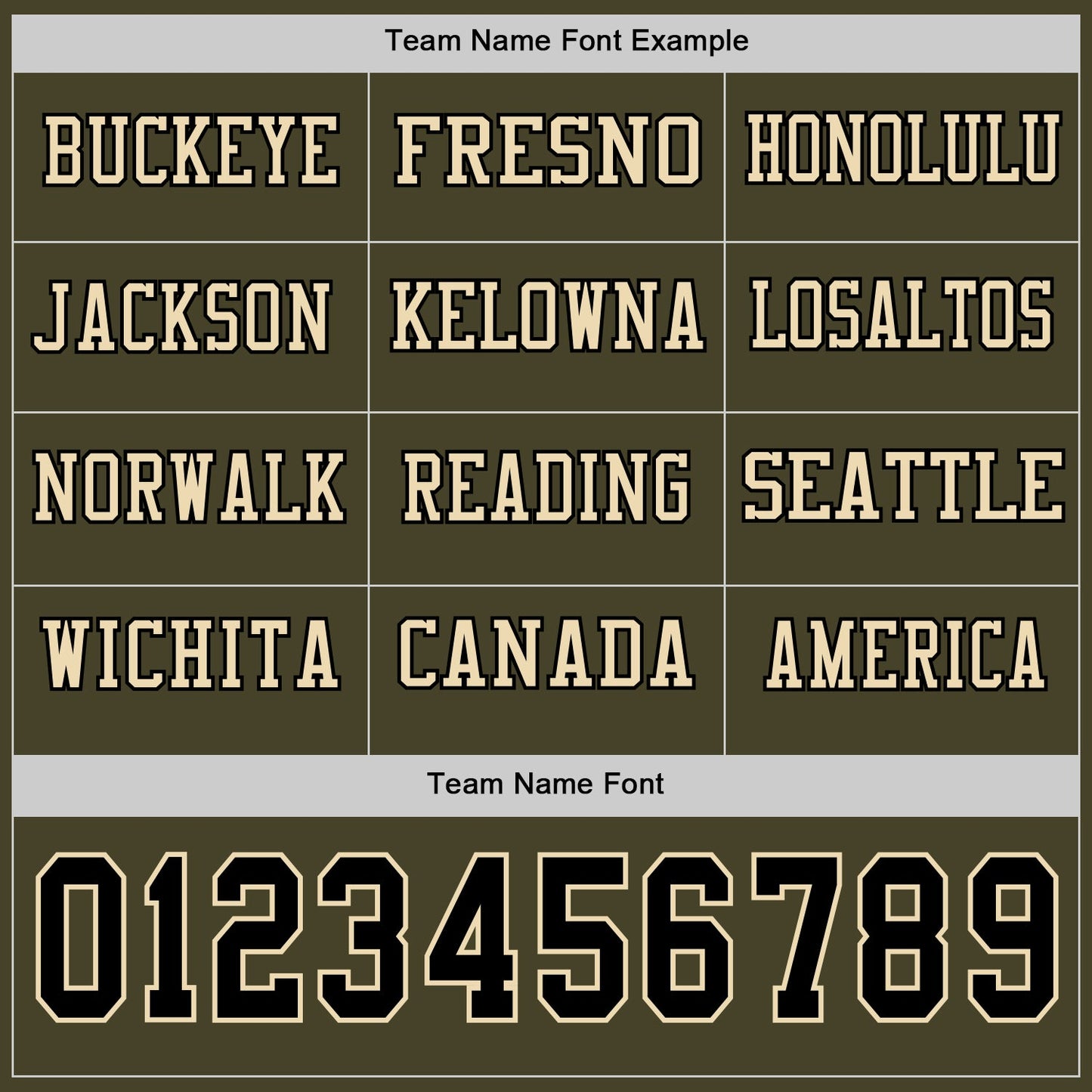 Custom Olive Black-Cream Long Sleeve Salute To Service Authentic Football Jersey view 3