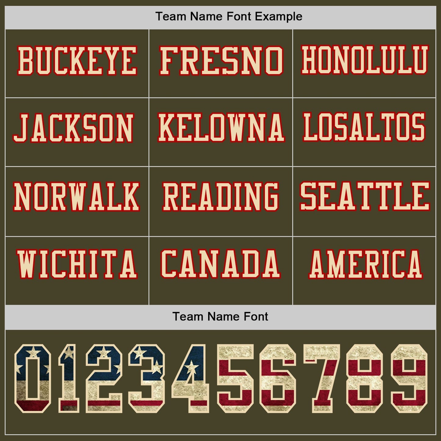 Custom Olive Vintage USA Flag Cream-Red Long Sleeve Salute To Service Authentic Football Jersey view 3