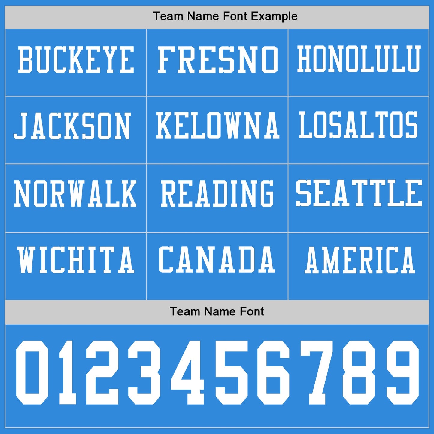 Custom Powder Blue White Long Sleeve Authentic Football Jersey view 3