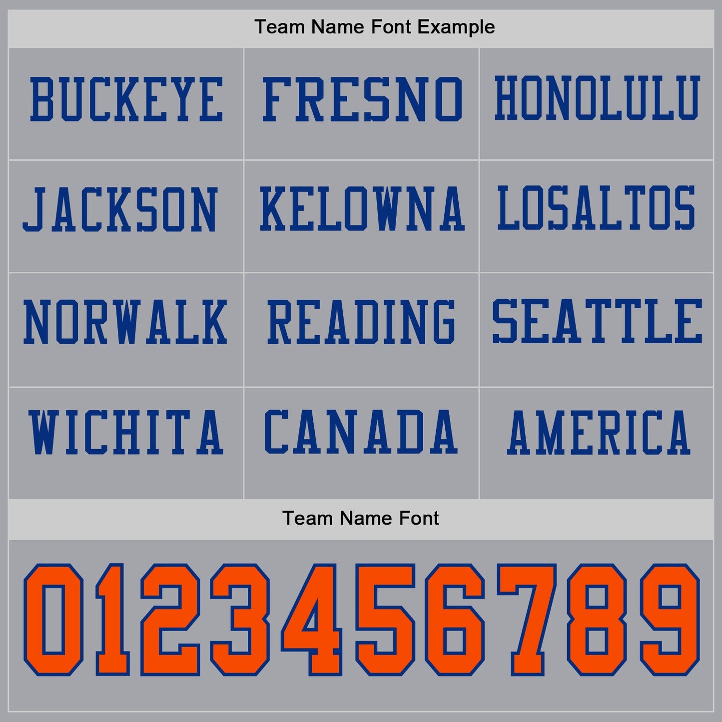 Custom Gray Orange-Royal Long Sleeve Authentic Football Jersey view 3