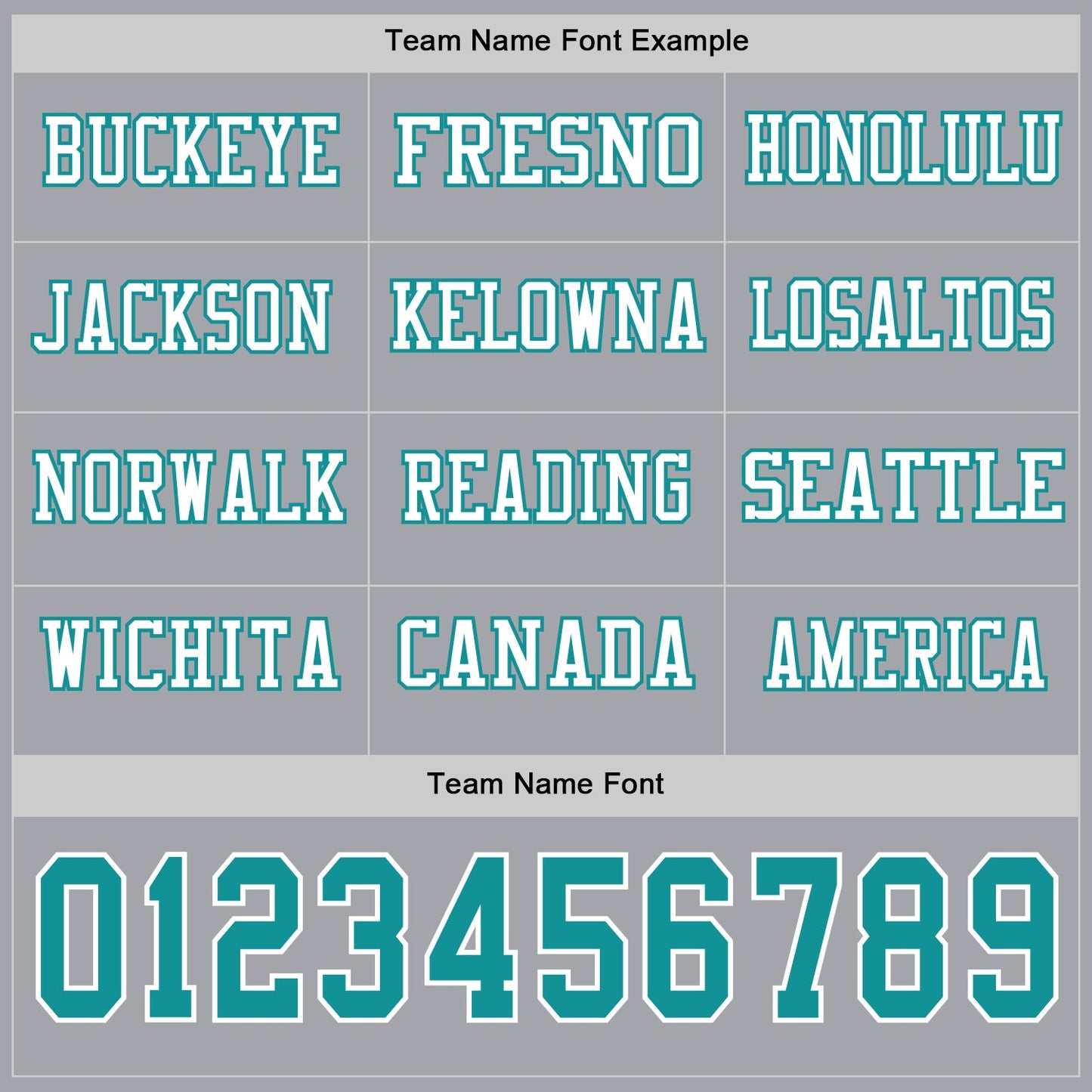 Custom Gray Teal-White Long Sleeve Authentic Football Jersey view 3
