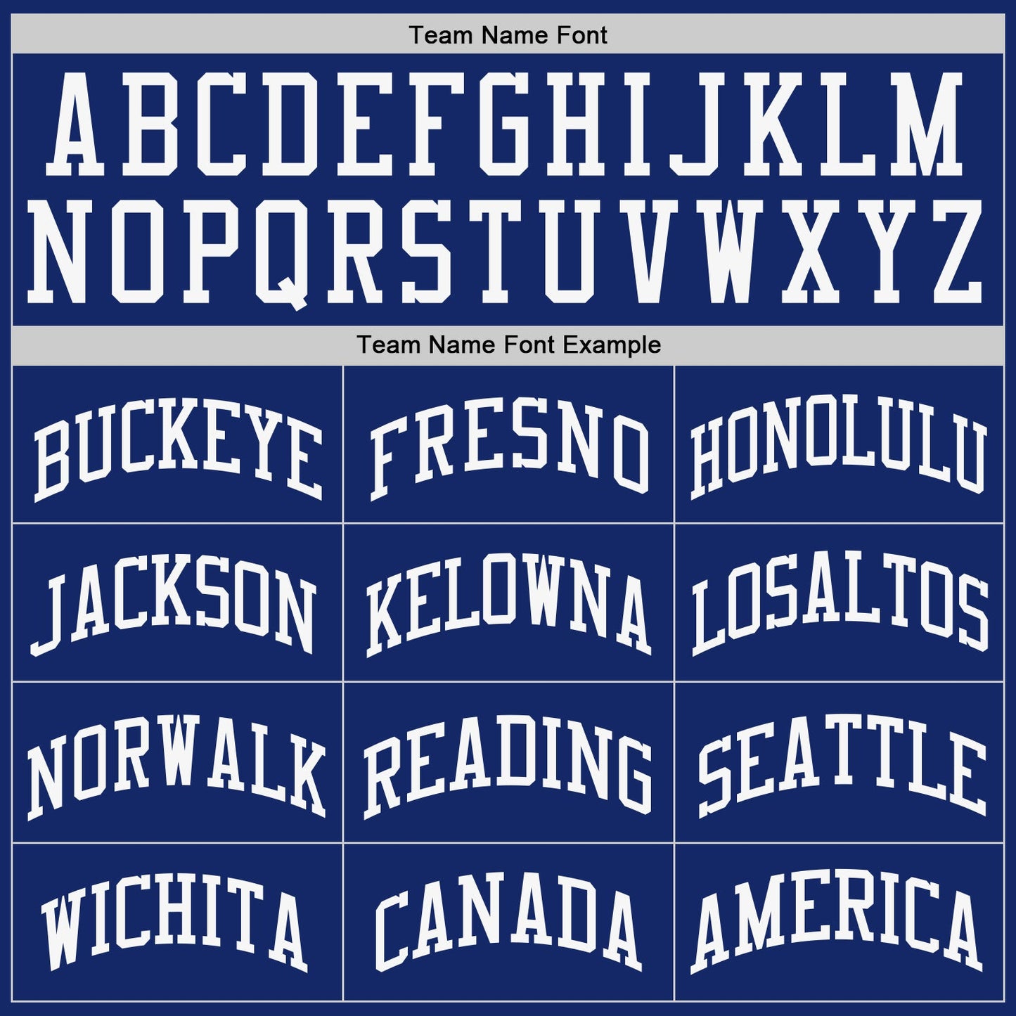 Custom Royal White Authentic Baseball Jersey view 5