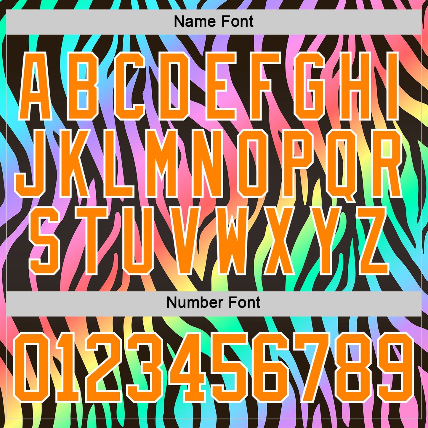 Custom Black Bay Orange Purple Pink Green-White Zebra Print Neon Hockey Lace Neck Jersey view 7