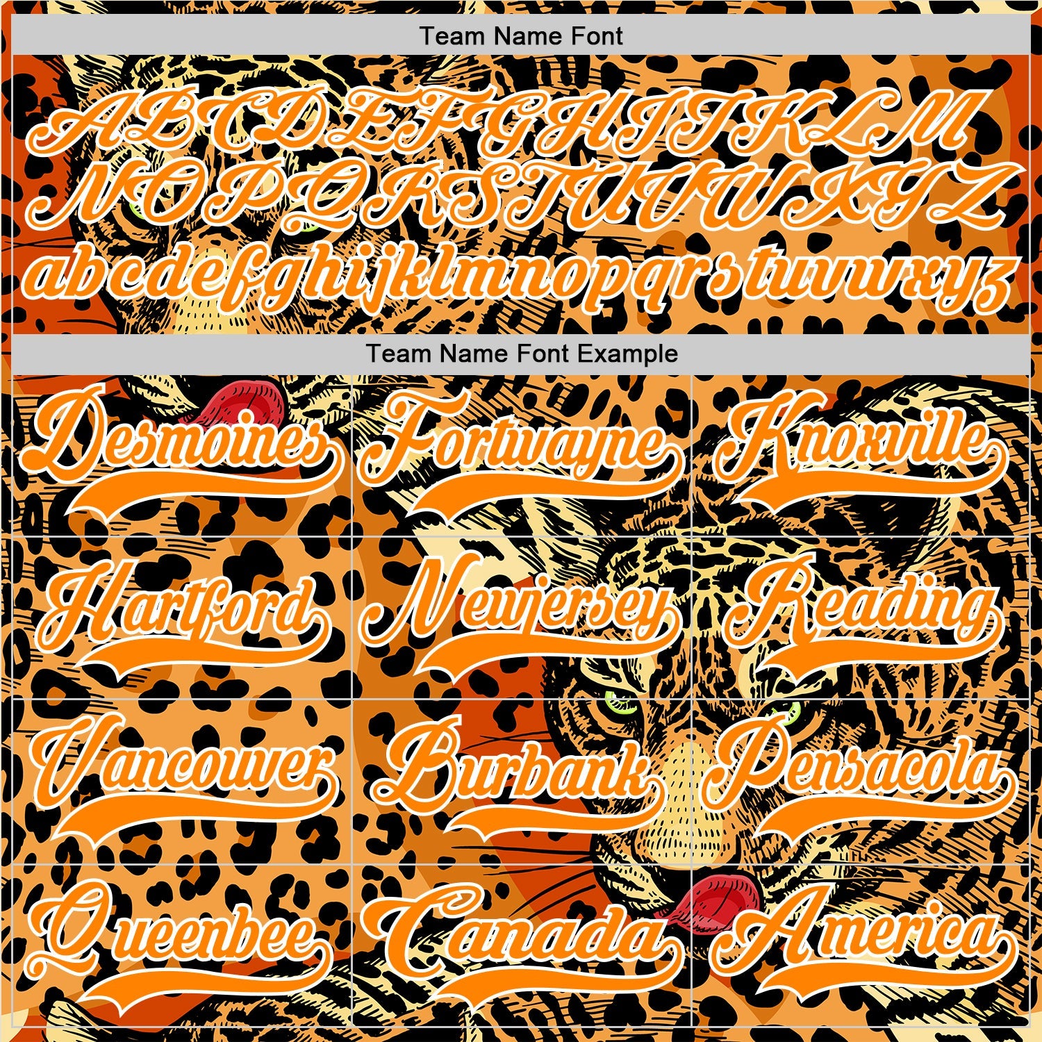 Custom Bay Orange Black-White Leopard Print Hockey Lace Neck Jersey view 6