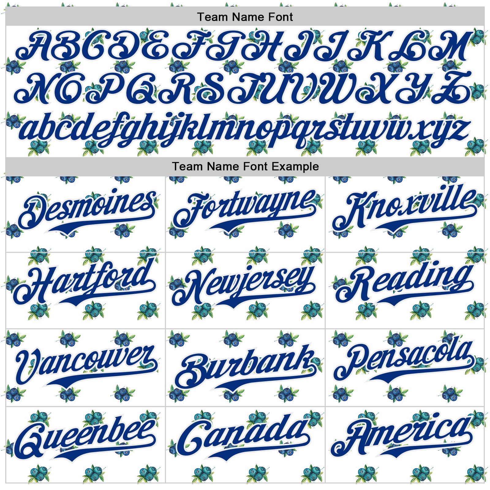 Custom White-Royal Foodie Blueberry Authentic Baseball Jersey view 4