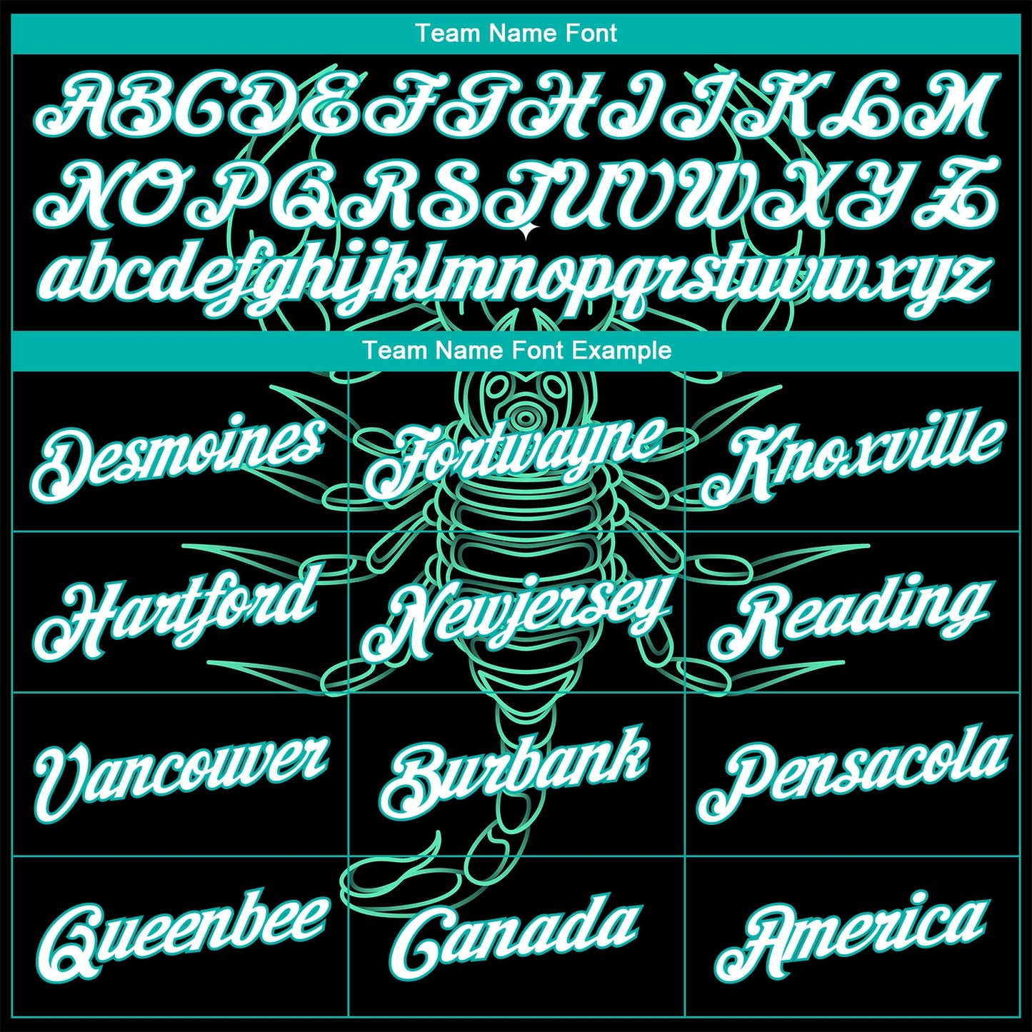 Custom Stitched Black White-Aqua 3D Pattern Design Scorpio Sports Pullover Sweatshirt Hoodie view 3