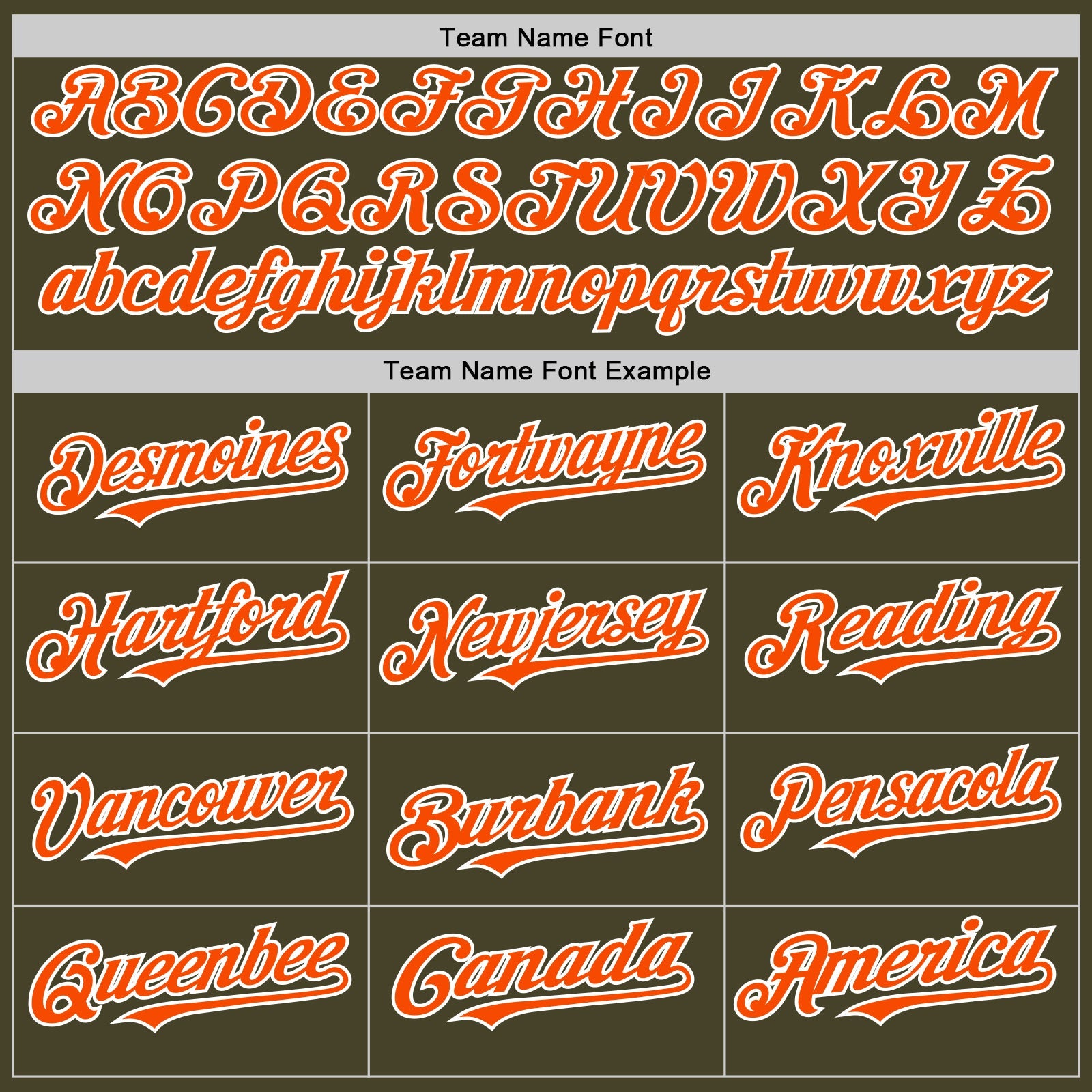 Custom Olive Orange-White Line Authentic Salute To Service Baseball Jersey view 4