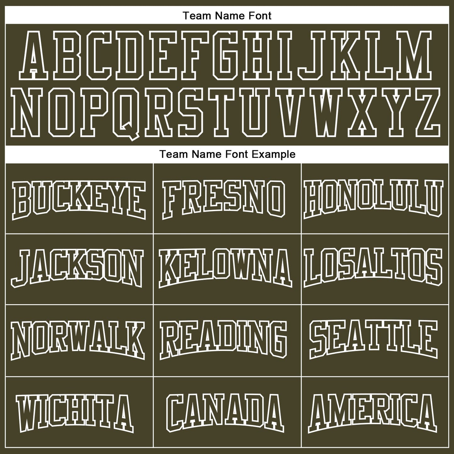 Custom Stitched Camo Olive-Steel Gray 3D Sports Pullover Sweatshirt Salute To Service Hoodie view 3