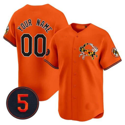 Custom Baltimore Orioles Robinson Patch Vapor Premier Limited V2- All Stitched Baseball Jersey