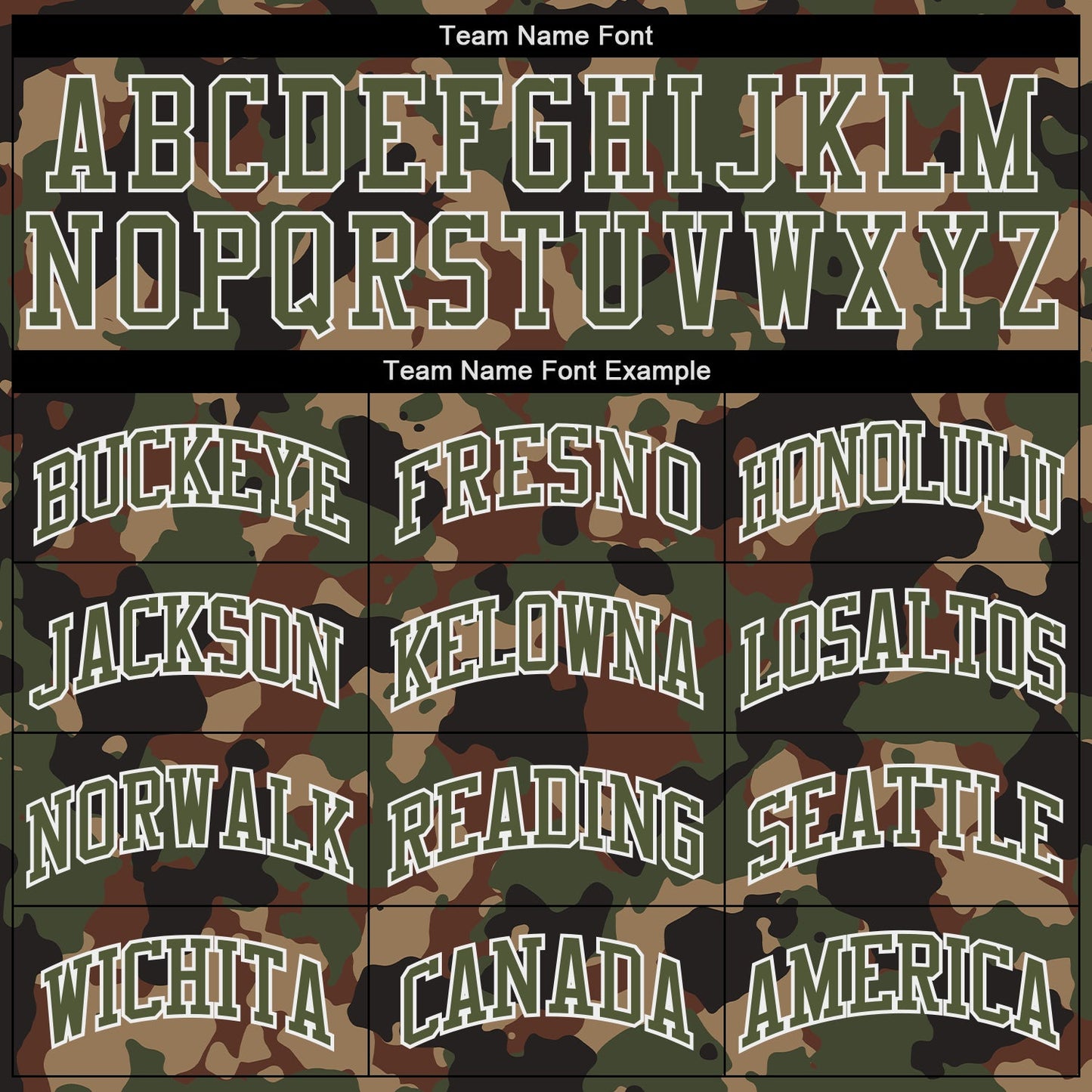 Custom Camo Olive-White Dark Classic Woodland Authentic Salute To Service Baseball Jersey view 4