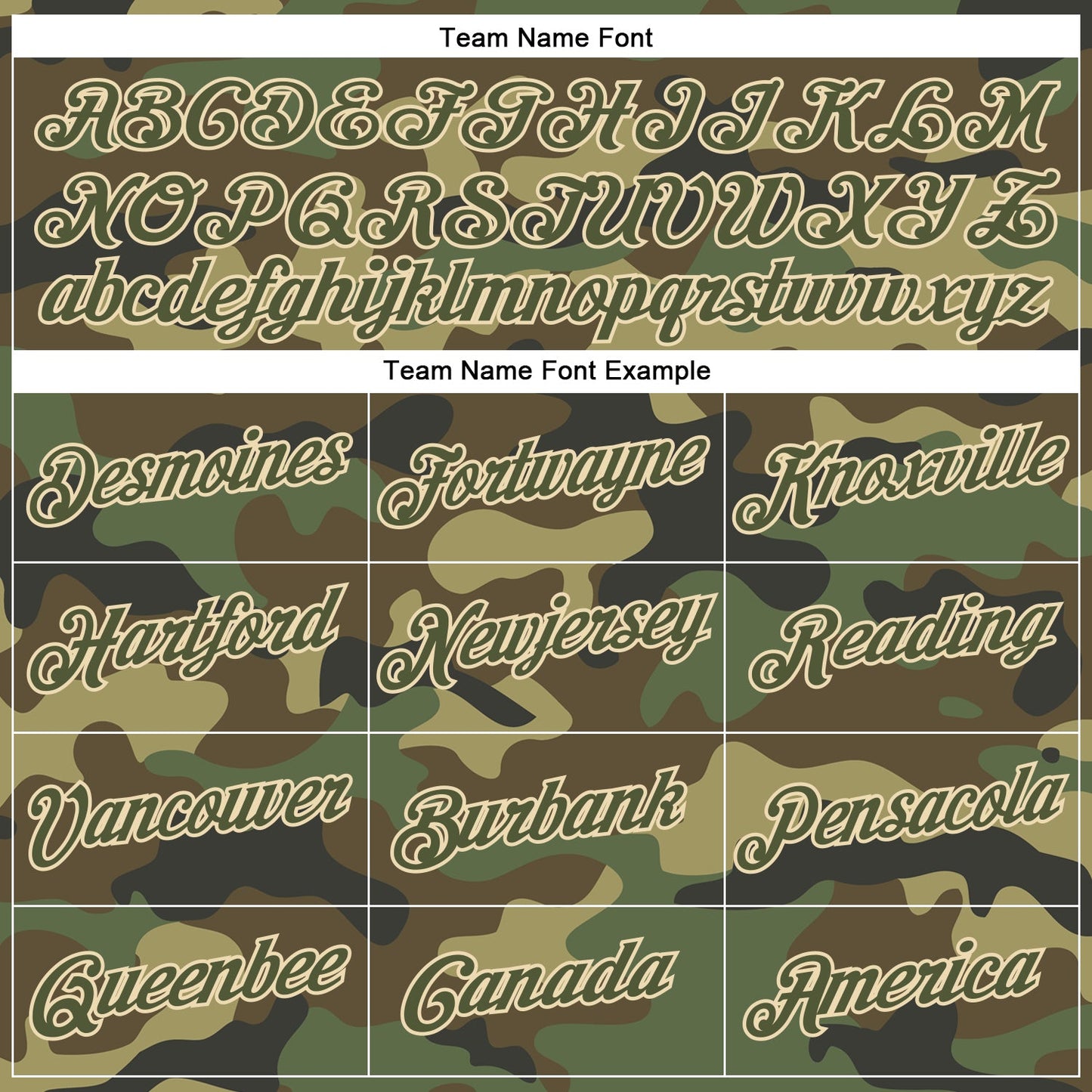 Custom Camo Olive-City Cream Performance Salute To Service T-Shirt view 3