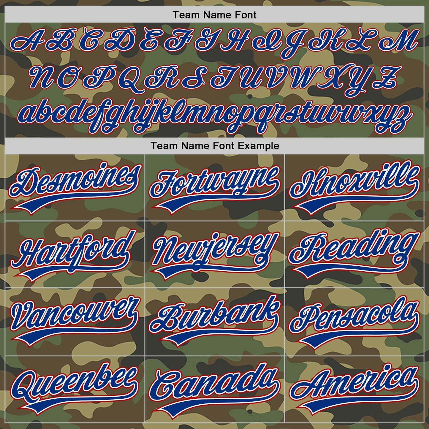Custom Camo Red-Royal Authentic Salute To Service Baseball Jersey view 4