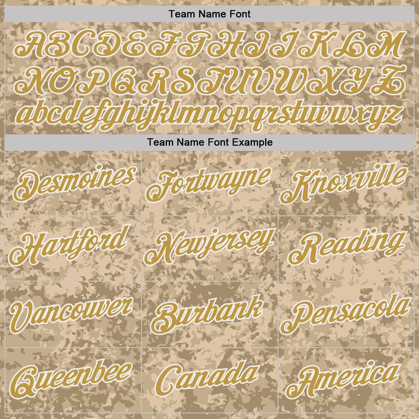 Custom Camo Old Gold-White Desert Digital Camouflage Salute To Service Performance T-Shirt view 3