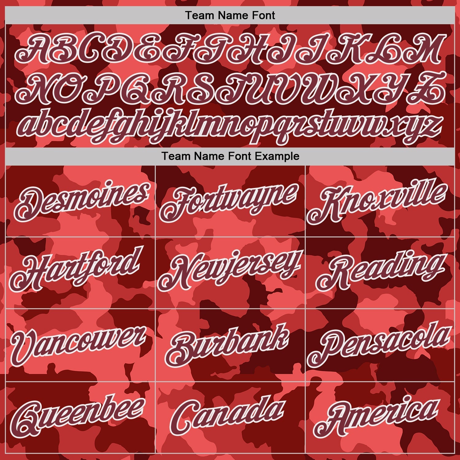 Custom Camo Burgundy-White Digital Camouflage Salute To Service Performance T-Shirt view 3