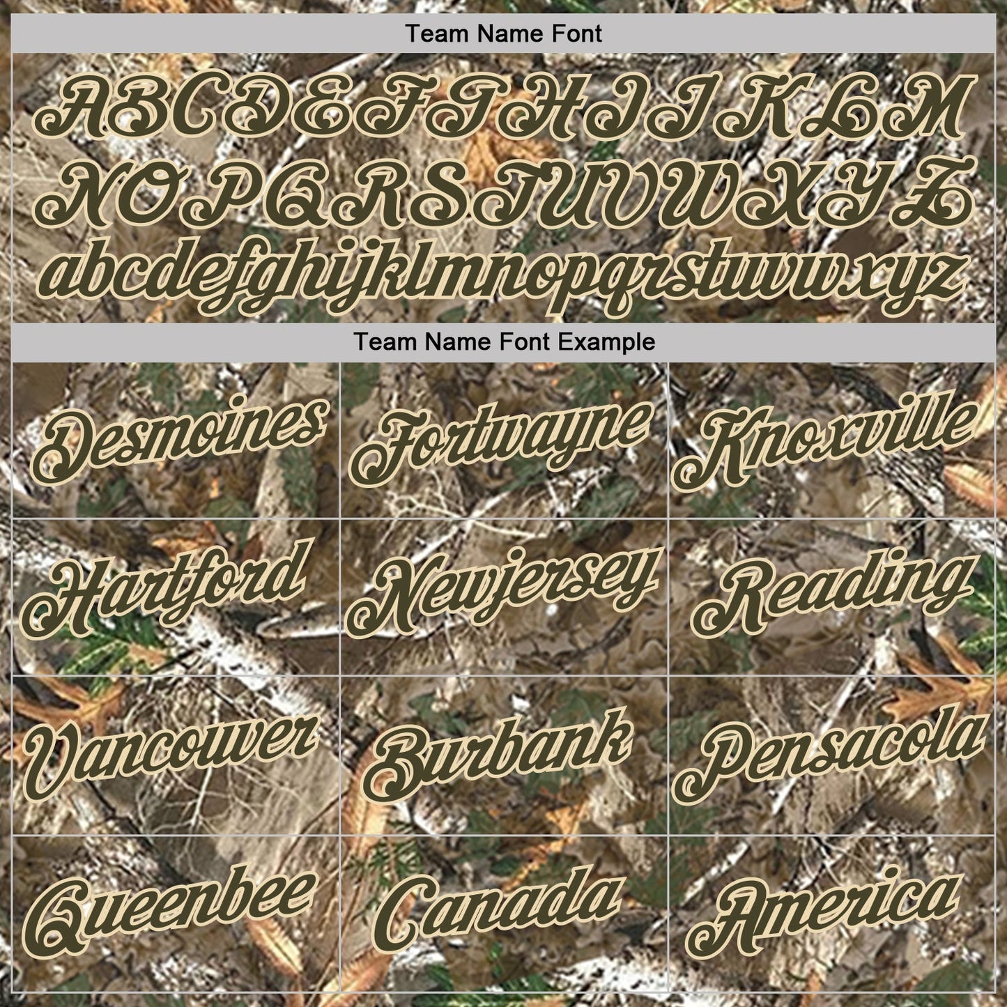 Custom Camo Olive-Cream Woodland Camouflage Salute To Service Performance T-Shirt view 3