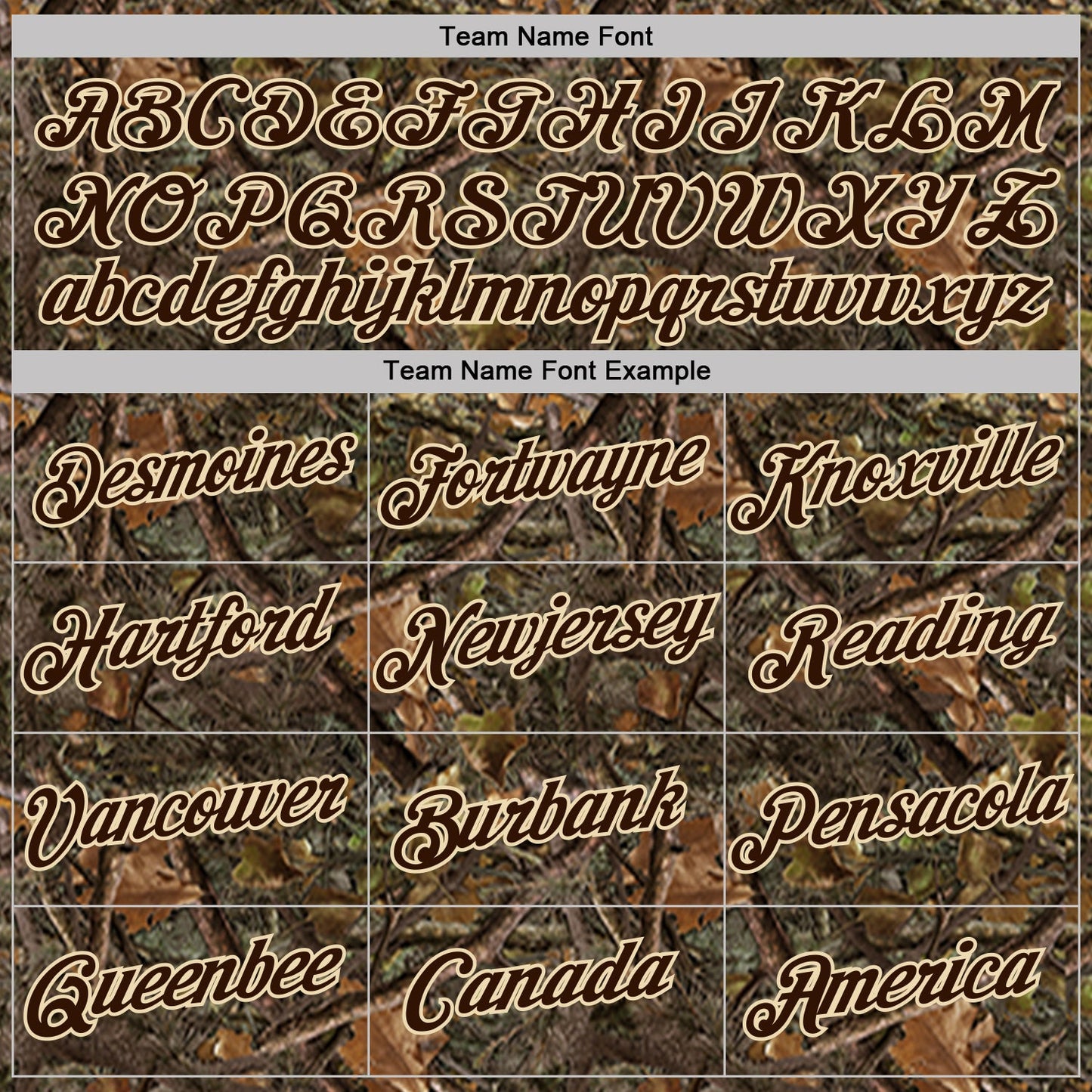 Custom Camo Brown-Cream Woodland Camouflage Salute To Service Performance T-Shirt view 3