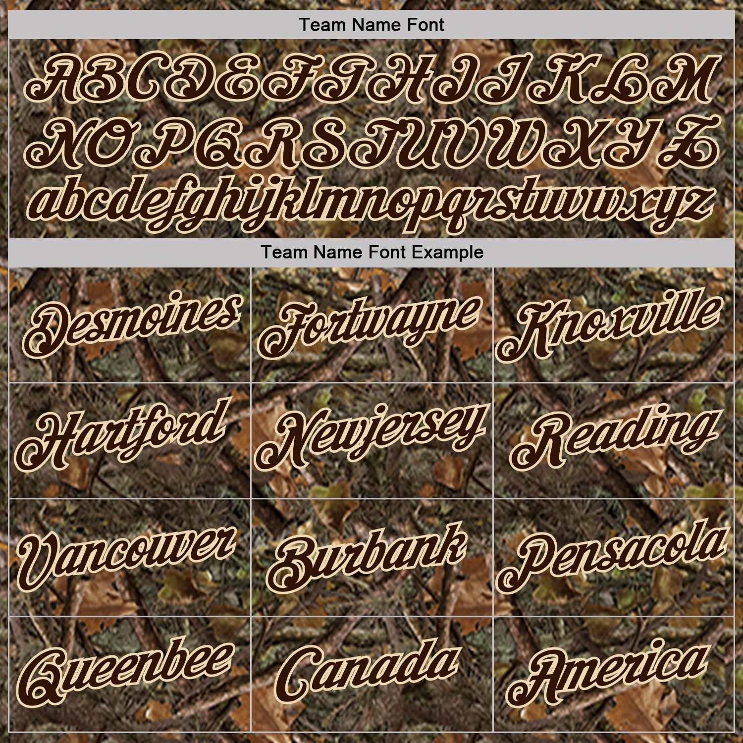 Custom Camo Brown-Cream Woodland Camouflage Salute To Service Performance T-Shirt view 3