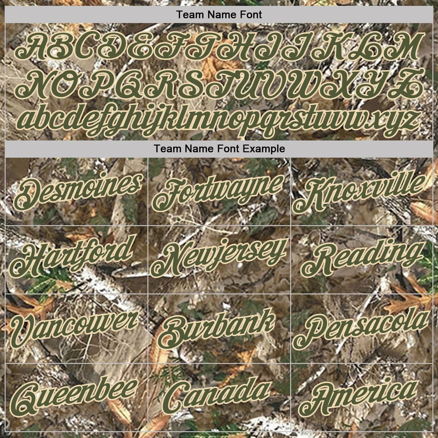 Custom Camo Olive-Cream Woodland Camouflage Salute To Service Performance T-Shirt view 3