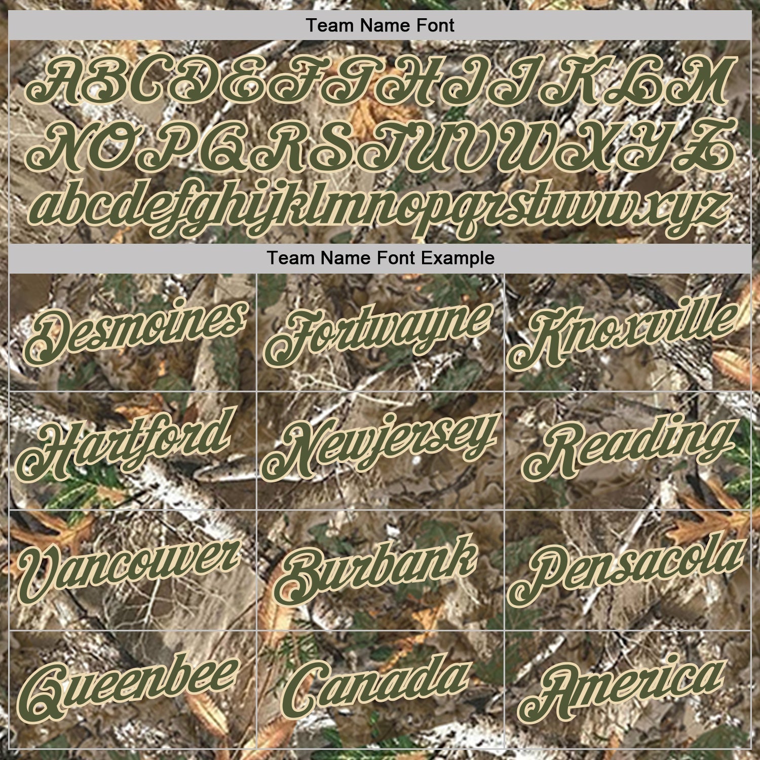 Custom Camo Olive-Cream Woodland Camouflage Salute To Service Performance T-Shirt view 3
