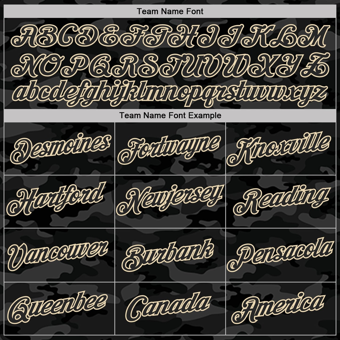 Custom Camo Black-Cream Salute To Service Performance T-Shirt view 3