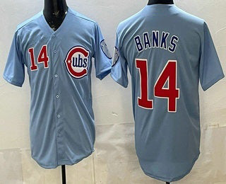 Chicago Cubs #14 Ernie Banks Baby Blue Limited Stitched Baseball Jersey - Main View