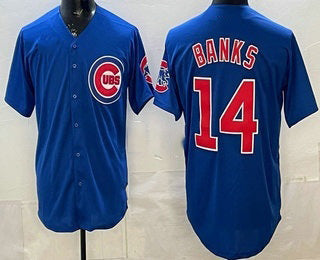 Chicago Cubs #14 Ernie Banks Blue Limited Stitched Baseball Jersey - Main View