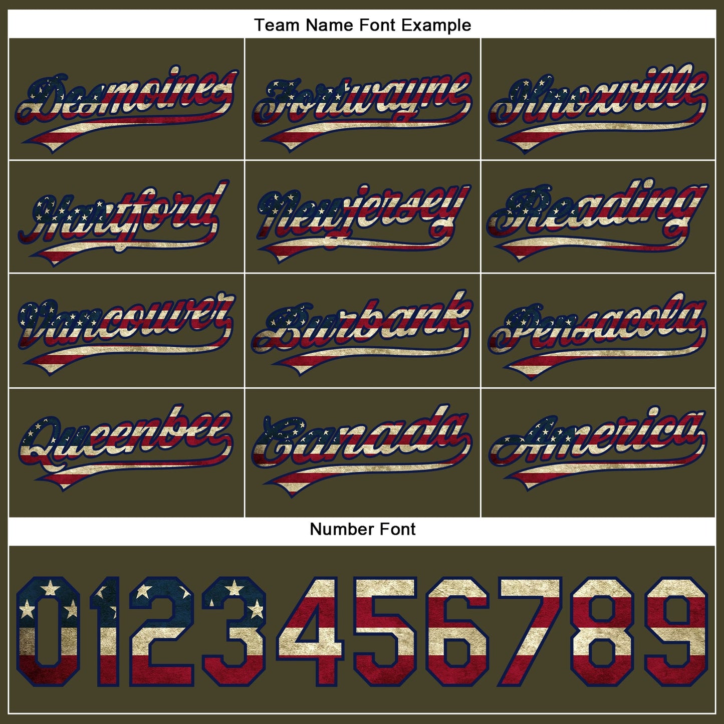 Custom Olive Vintage USA Flag-Navy Performance Vapor Salute To Service Golf Polo Shirt view 4