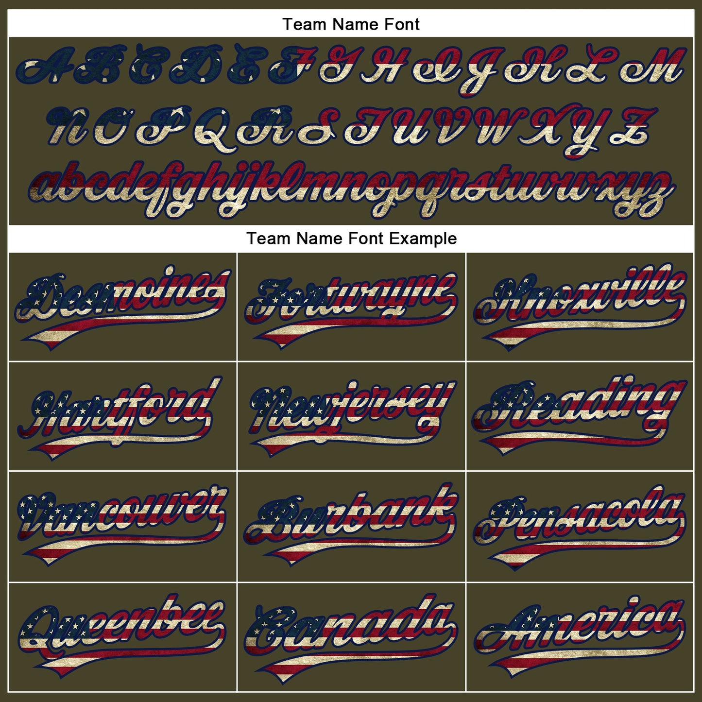 Custom Olive Vintage USA Flag-Navy Performance Vapor Salute To Service Golf Polo Shirt view 5
