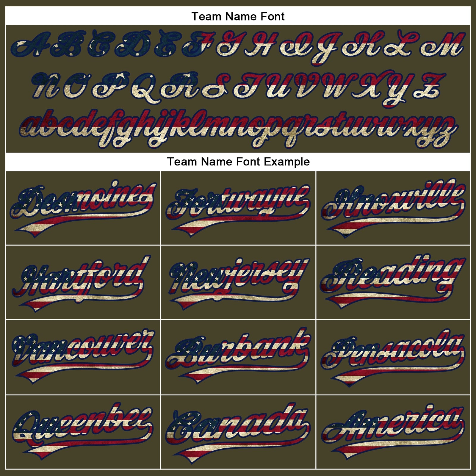Custom Olive Vintage USA Flag-Navy Performance Vapor Salute To Service Golf Polo Shirt view 5
