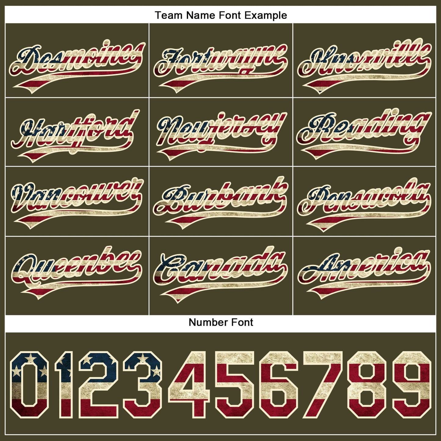 Custom Olive Vintage USA Flag-Cream Performance Vapor Salute To Service Golf Polo Shirt view 4