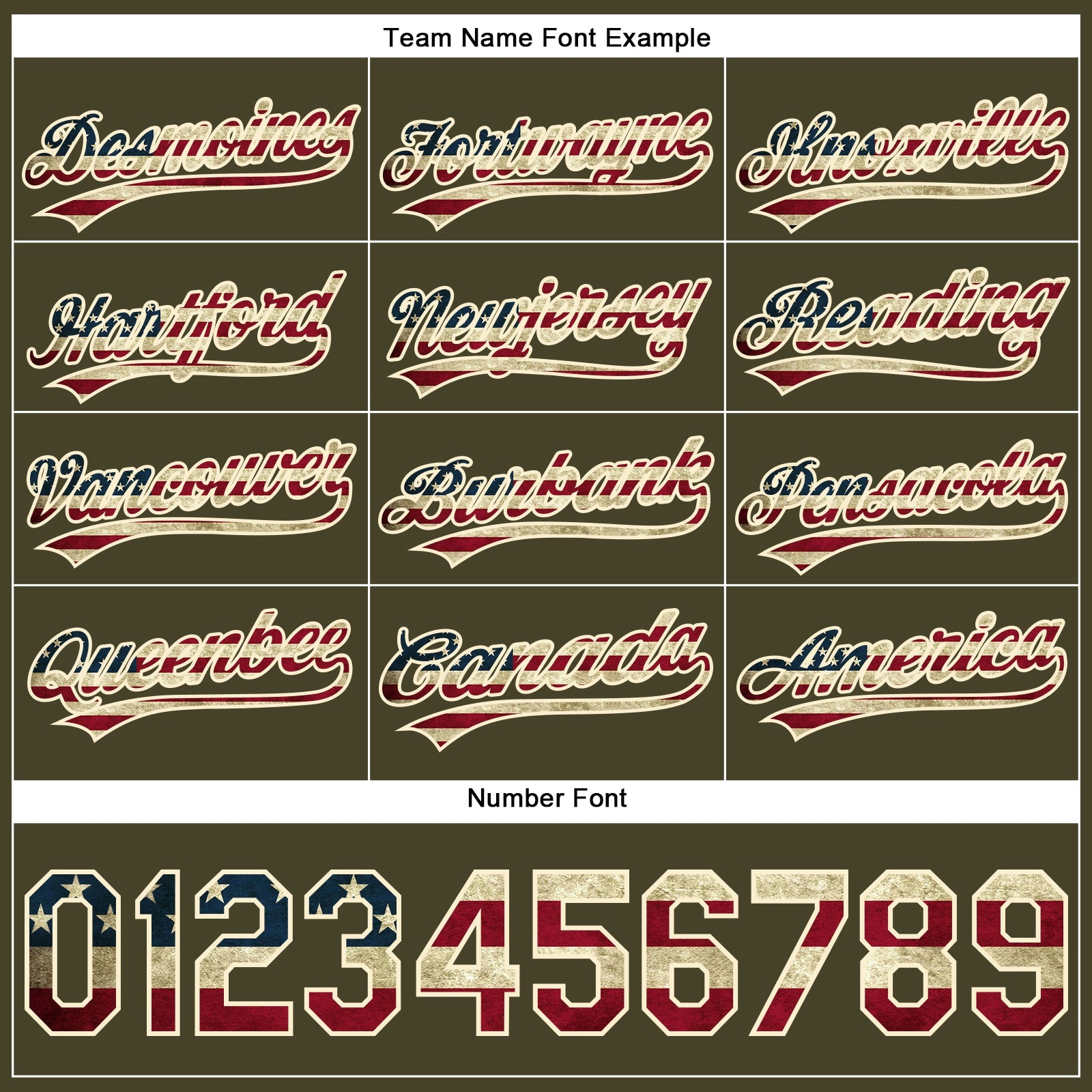 Custom Olive Vintage USA Flag-Cream Performance Vapor Salute To Service Golf Polo Shirt view 4