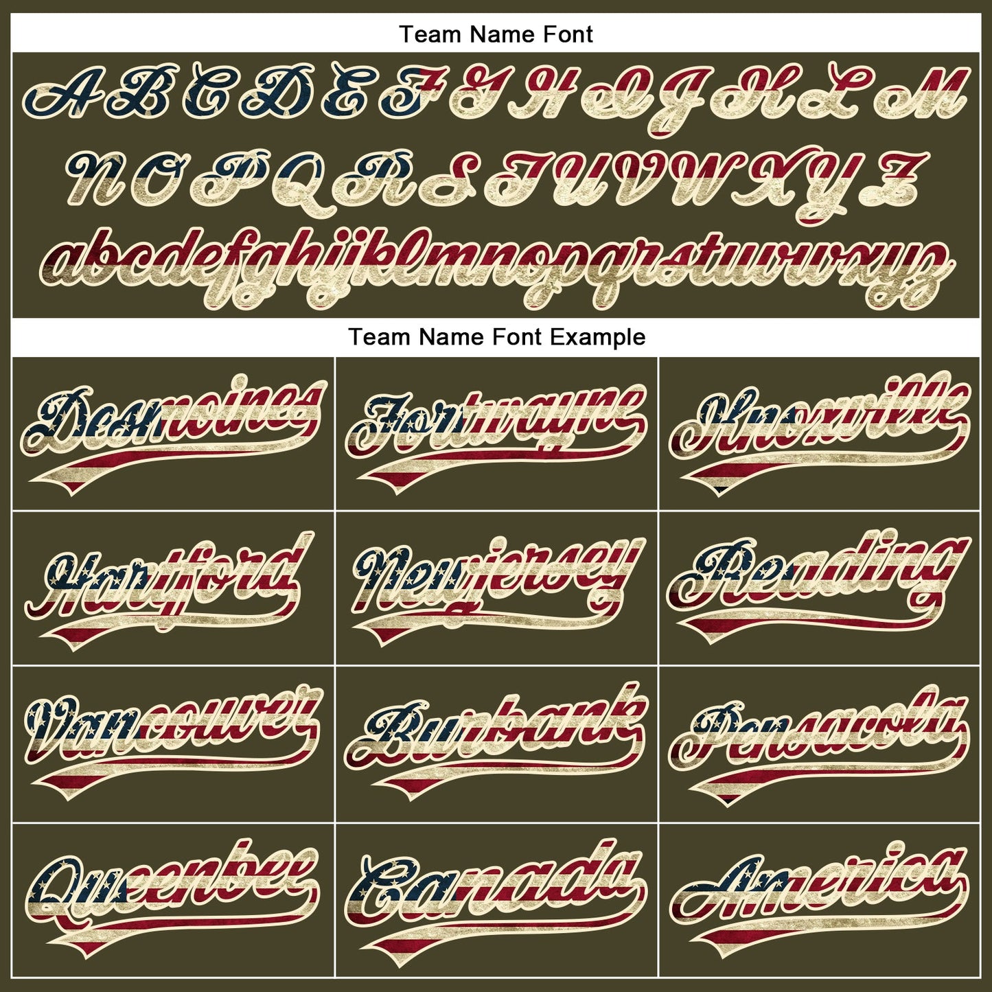Custom Olive Vintage USA Flag-Cream Performance Vapor Salute To Service Golf Polo Shirt view 5