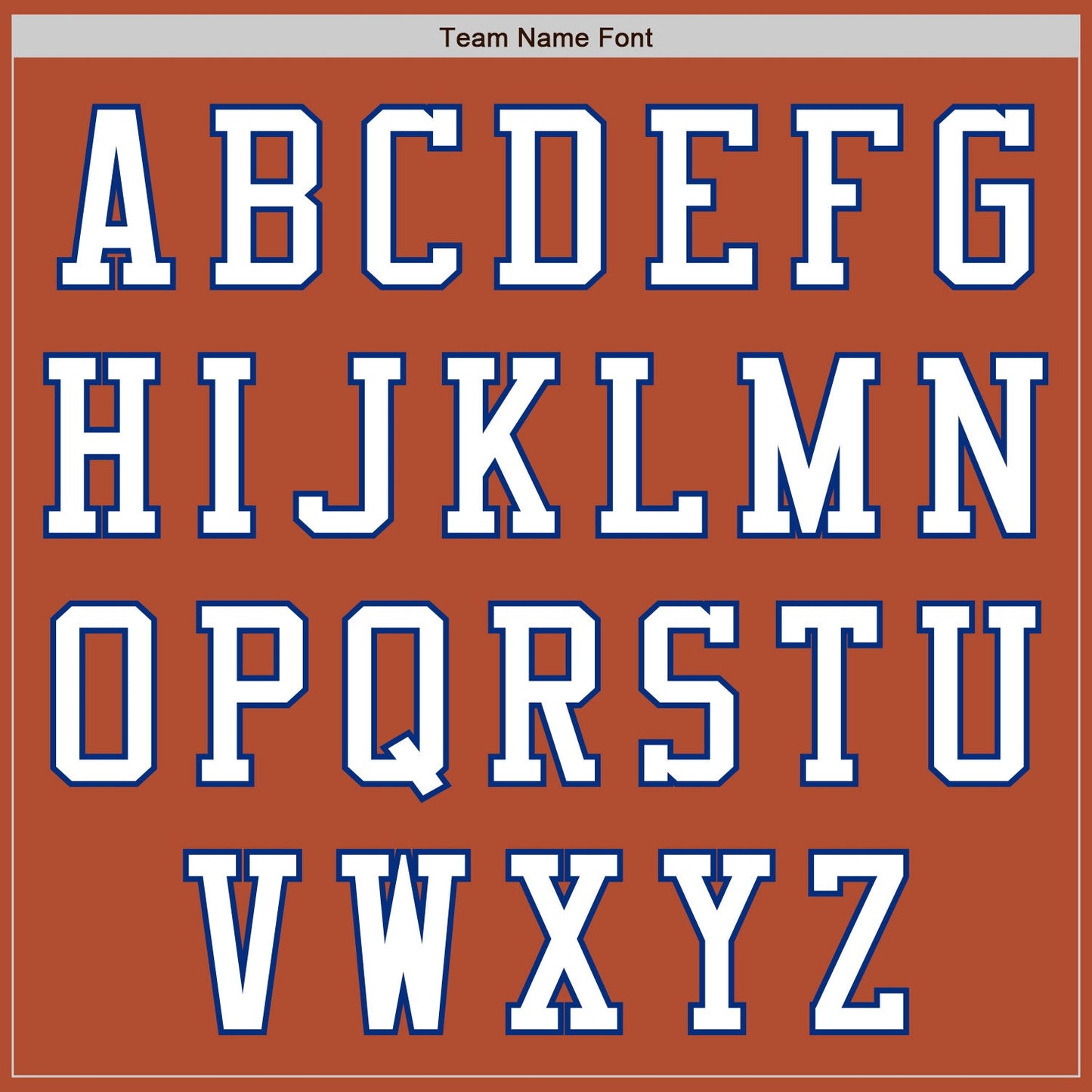 Custom Texas Orange White-Royal Bomber Varsity Letterman Two Tone Zipper Jacket view 5