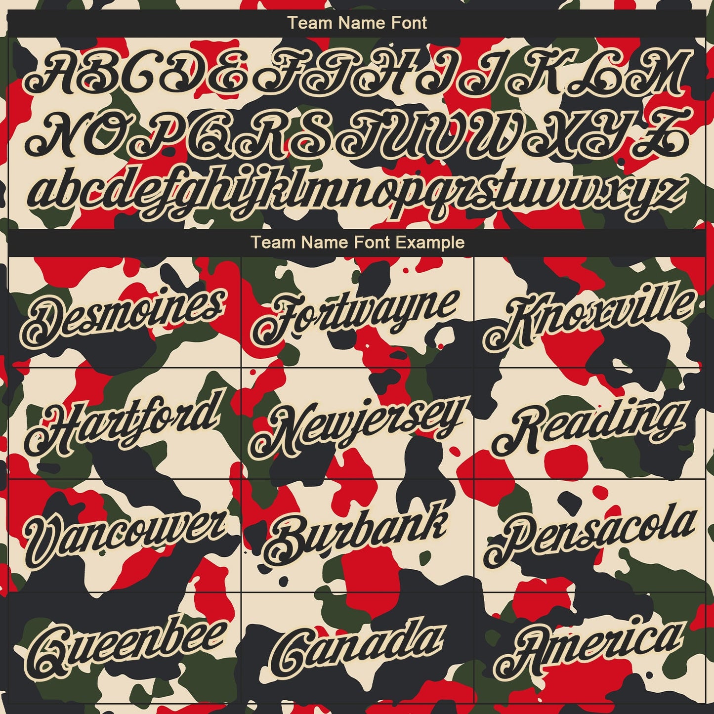 Custom Camo Black-Cream Salute To Service Long Sleeve Performance T-Shirt view 3