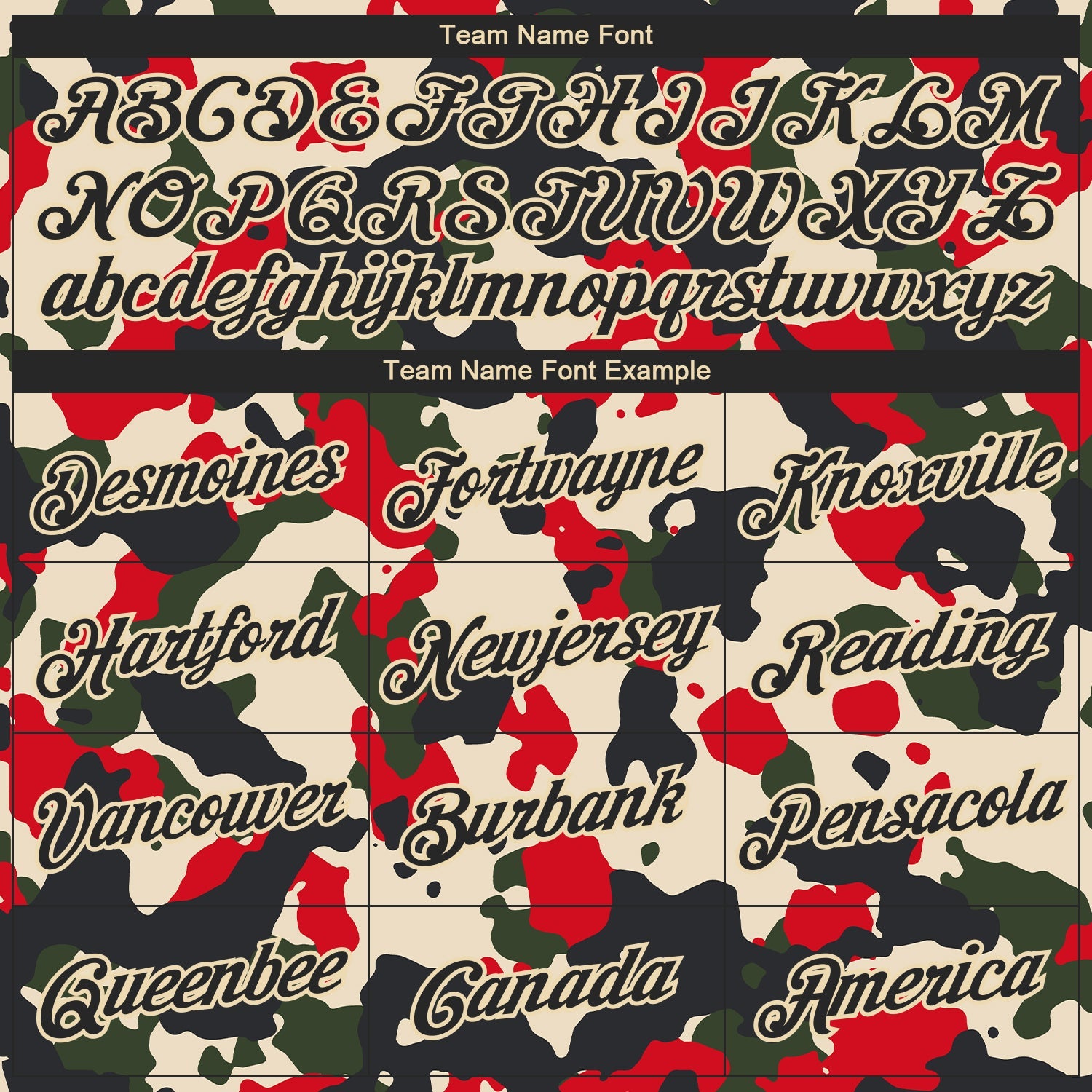 Custom Camo Black-Cream Salute To Service Long Sleeve Performance T-Shirt view 3