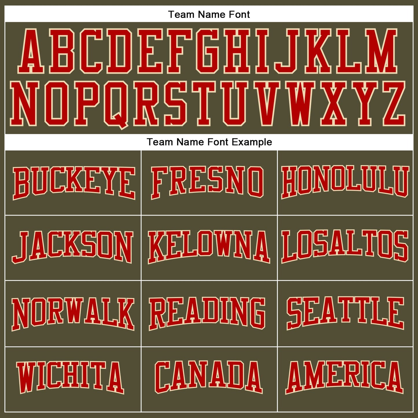 Custom Olive Red-Cream Long Sleeve Performance Salute To Service T-Shirt view 4
