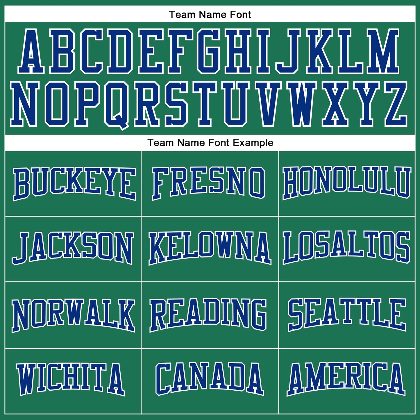 Custom Kelly Green Royal-White Long Sleeve Performance Salute To Service T-Shirt view 4