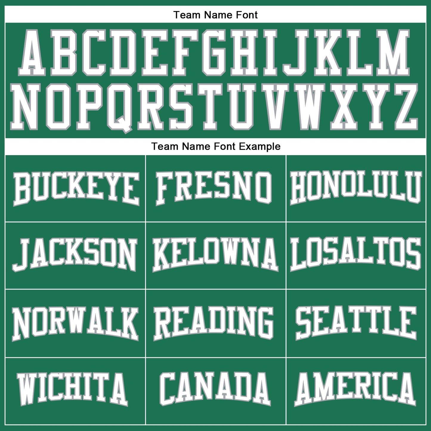 Custom Kelly Green White-Gray Long Sleeve Performance Salute To Service T-Shirt view 4