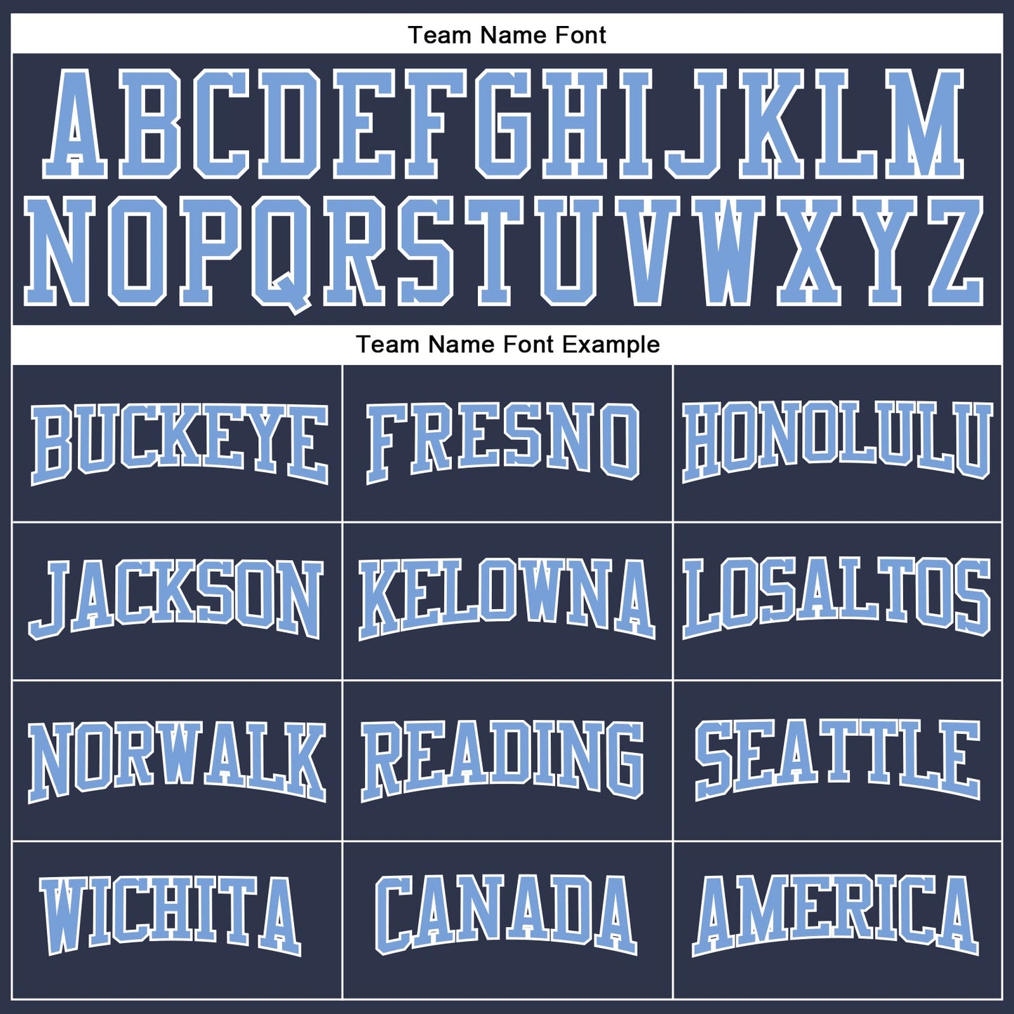 Custom Navy Light Blue-White Long Sleeve Performance Salute To Service T-Shirt view 4
