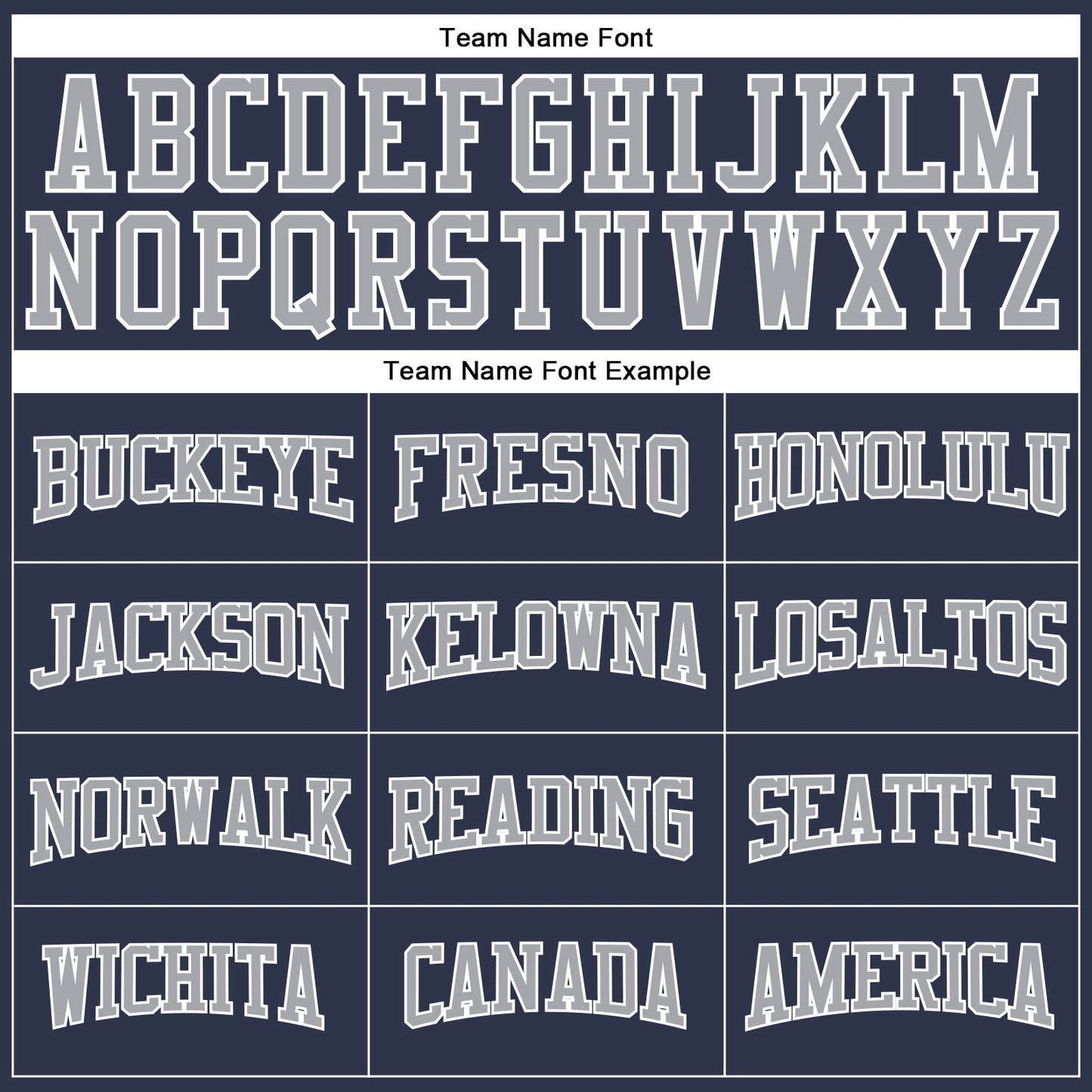Custom Navy Gray-White Long Sleeve Performance Salute To Service T-Shirt view 4