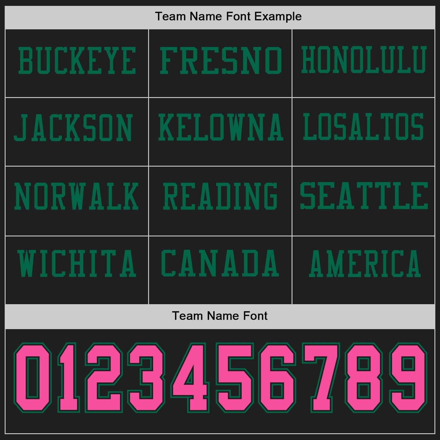 Custom Black Pink-Kelly Green Long Sleeve Authentic Football Jersey view 3
