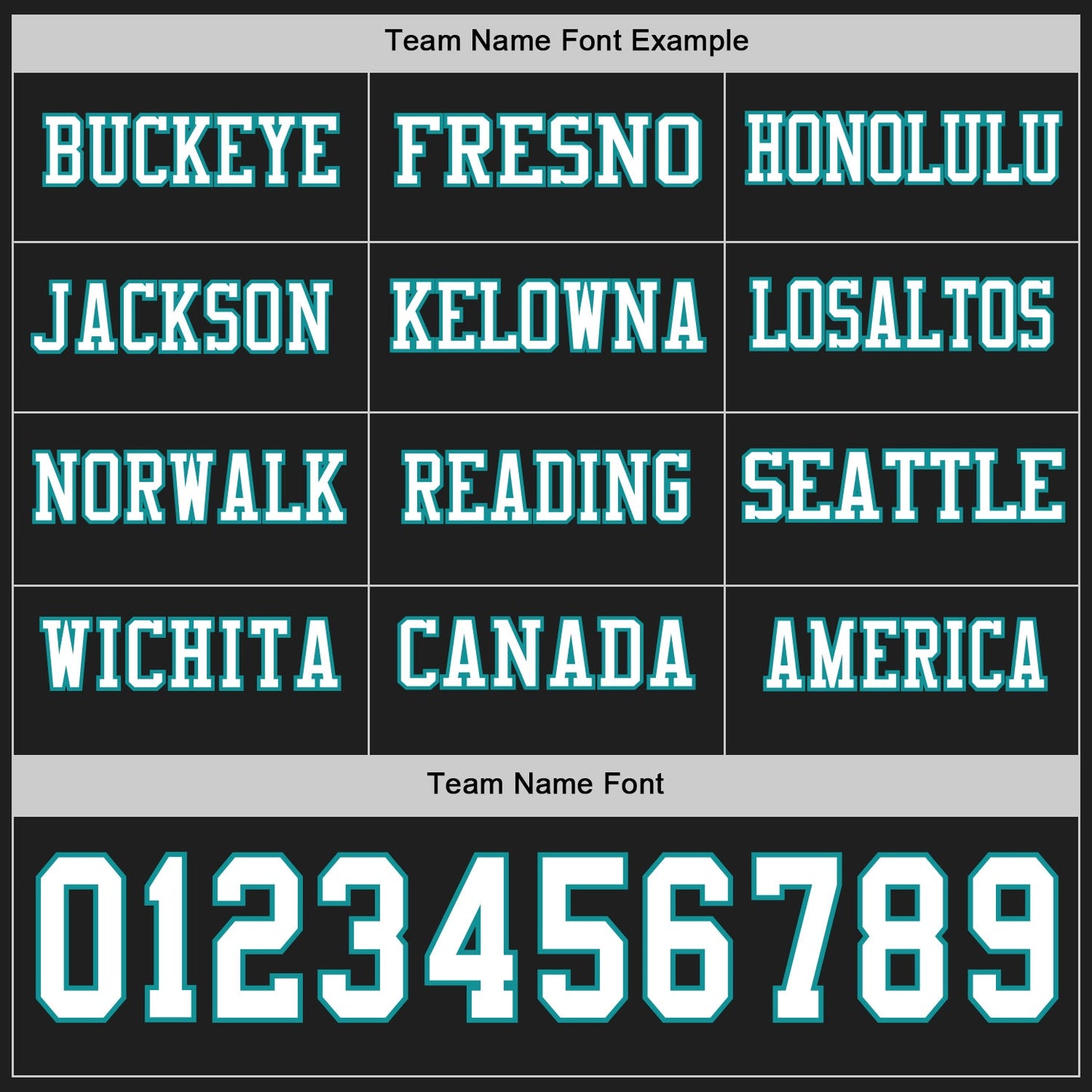 Custom Black White-Teal Long Sleeve Authentic Football Jersey view 3